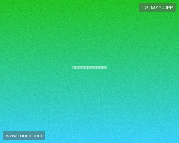 曼城考虑引进狼队中场努内斯作为未来引援备选目标