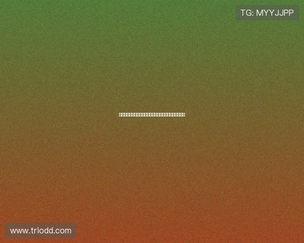 法甲训练赛揭幕强队风采新星崭露头角球迷热议新赛季前景